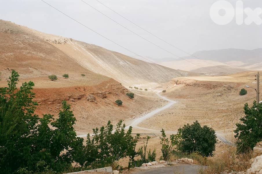 Land for sell in Taybeh- Baalbek 2