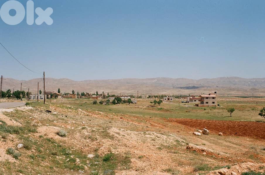 Land for sell in Taybeh- Baalbek 3
