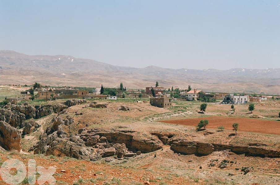 Land for sell in Taybeh- Baalbek 4