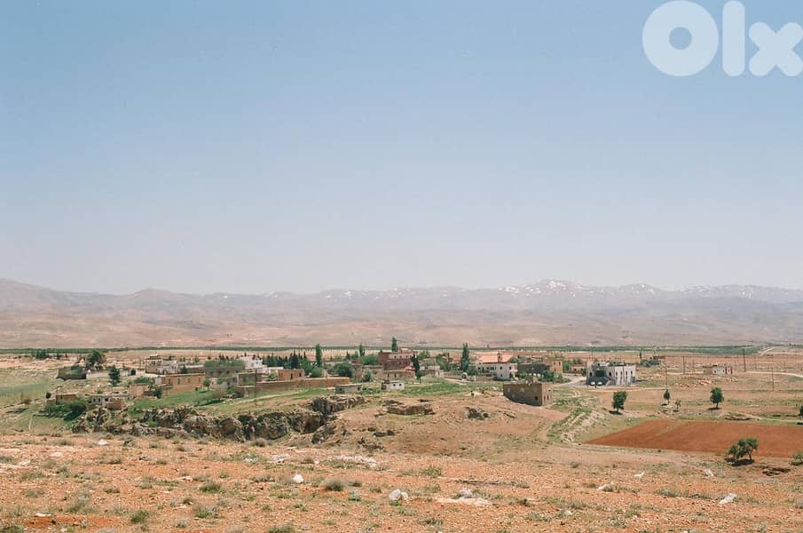 Land for sell in Taybeh- Baalbek 7