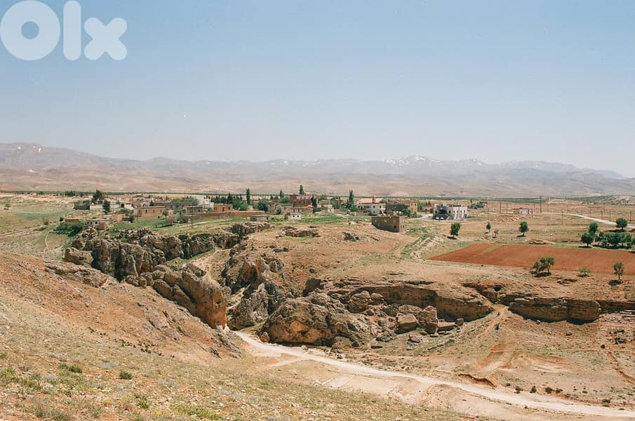 Land for sell in Taybeh- Baalbek 8