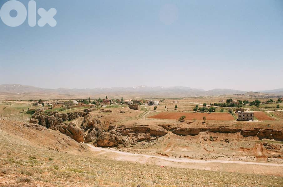 Land for sell in Taybeh- Baalbek 10