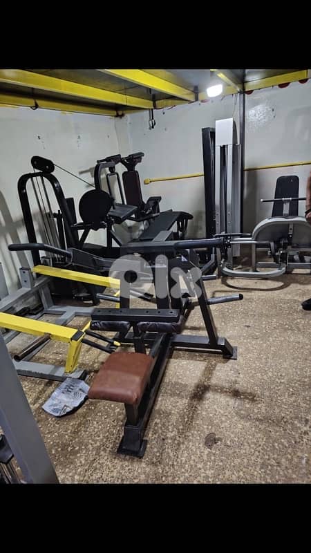 Trapeze and triceps  machine  like new 1