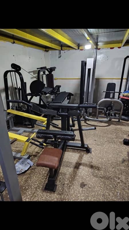 Trapeze and triceps  machine  like new 2