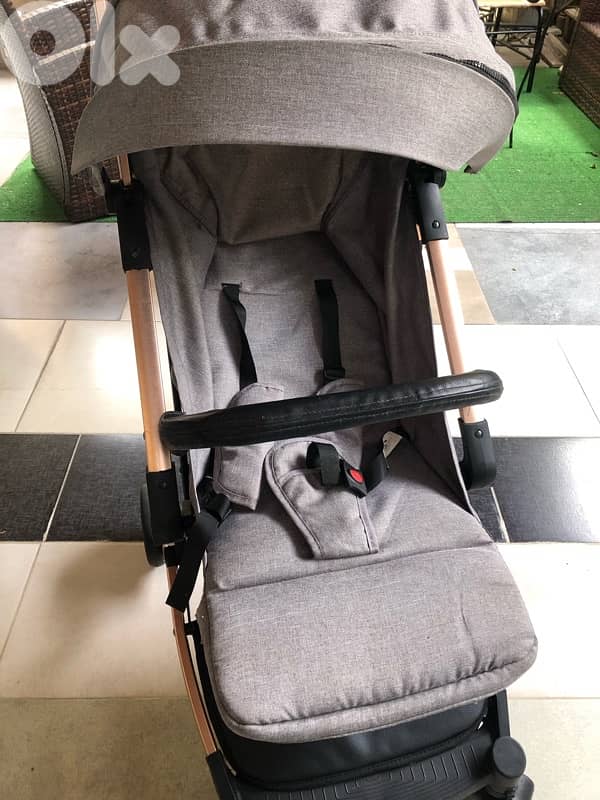 stroller and car seat 0