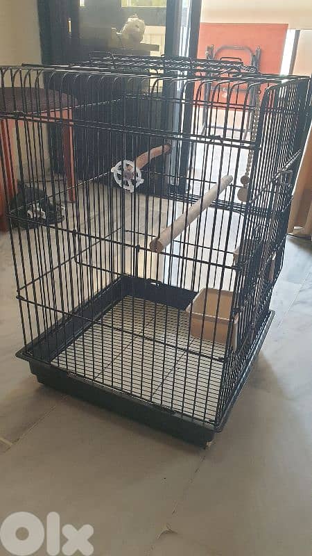 قفص عصفور كبير big bird cage 0