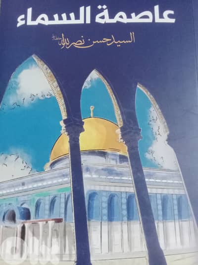 بقلم السيد نصرالله