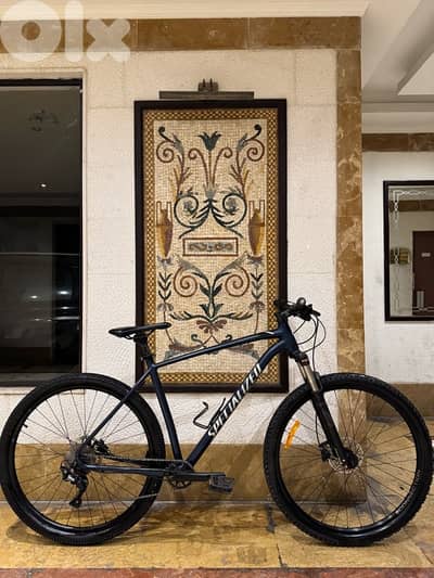 specialized 29