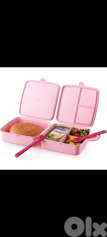 excellent lunchbox 19
