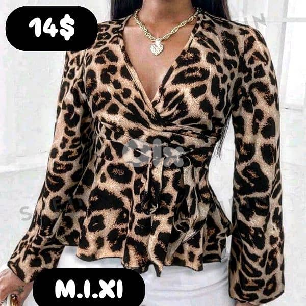 Top dress Pant shoes  decort 12