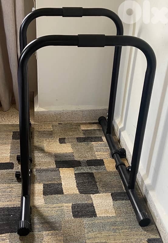 calisthenics equipment 1