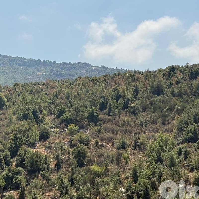 Land For Sale In Mechmech Jbeil أرض للبيع في مشمش جبيل 1