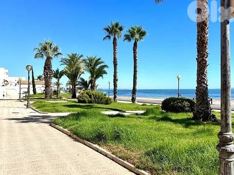 Spain Get your residency! terraced house 50 meters from beach 00028 0