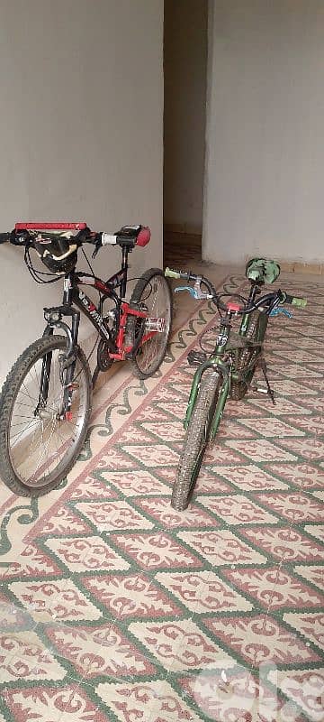 قبيع ساحة 0