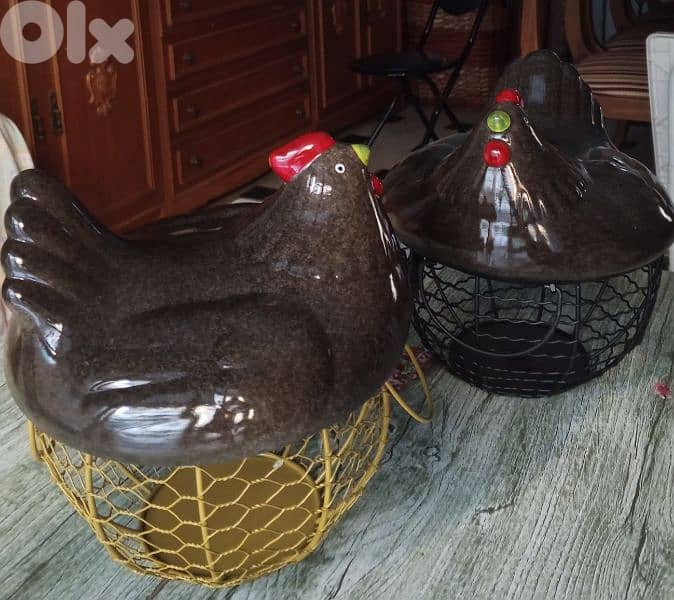 stunning chicken eggs steel basket 2
