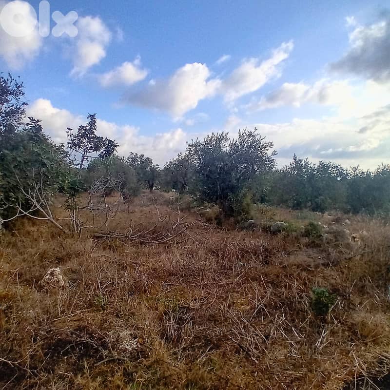 Prime 1,255 SQM Land FOR SALE – Monsef, Jbeil! 1