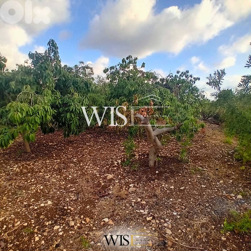 Prime 4,150 SQM Land FOR SALE – Monsef, Jbeil! 1