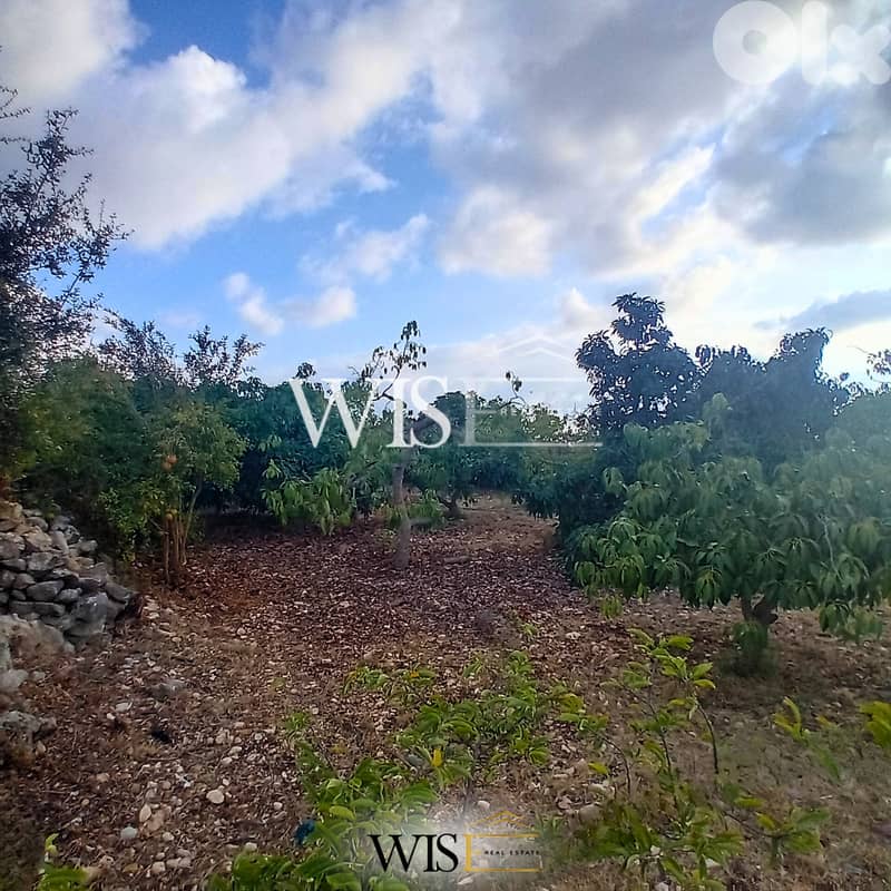 Prime 4,150 SQM Land FOR SALE – Monsef, Jbeil! 2