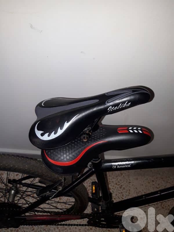 bicycle Chevron 1