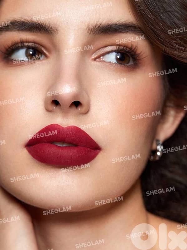 SHEGLAM Primer, Blush, Foundation, Lipstick, Eyeshadow… 6