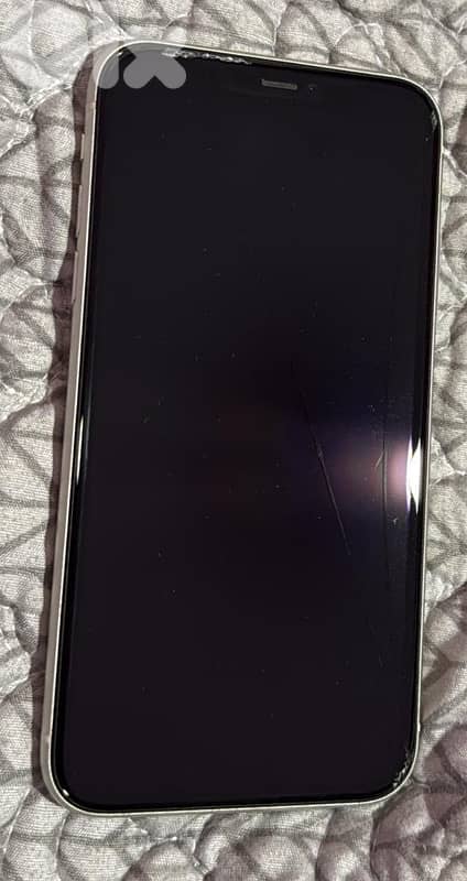 iPhone 11 0