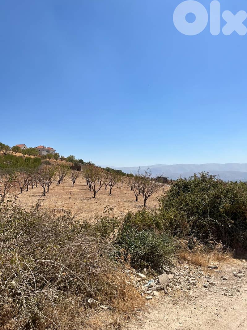 maalaka aradi land 2198 sqm for sale #6744 0