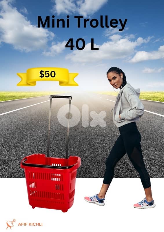 Trolleys & Baskets 2