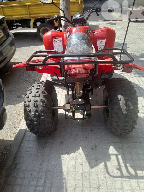 magnum atv 150cc 1