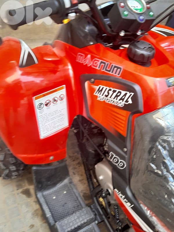 magnum atv 150cc 3