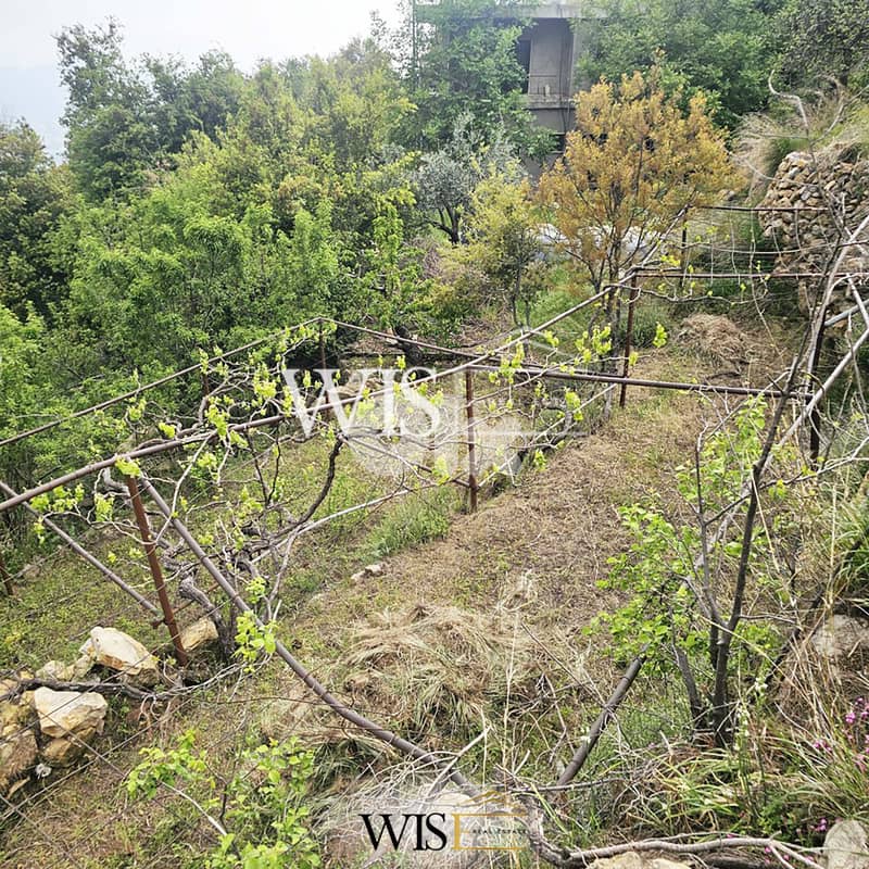 Prime 486 SQM Land for SALE in Ehmej! 2