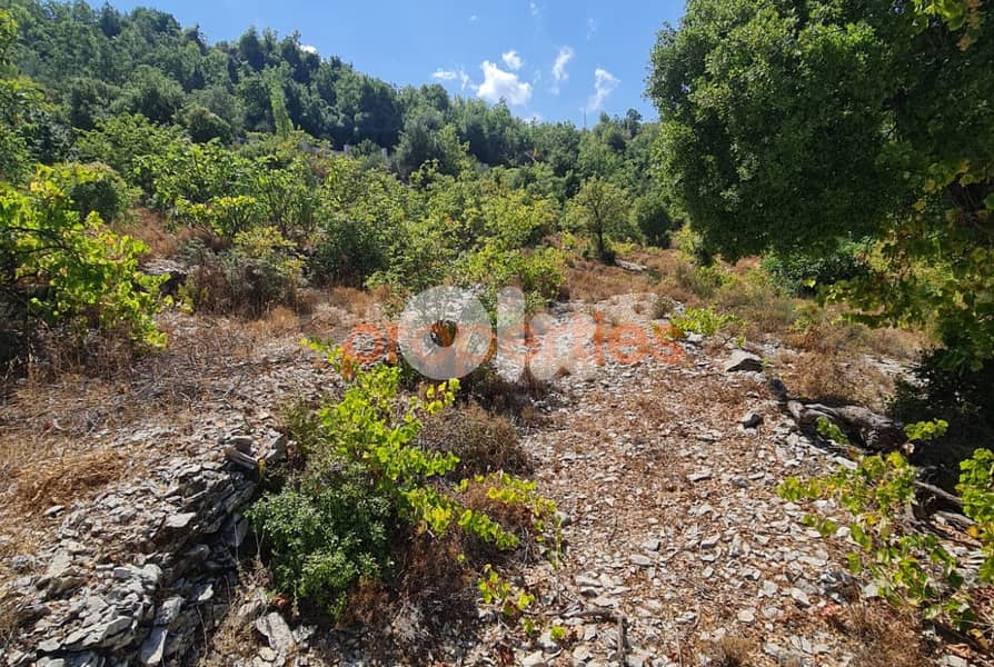 Land For Sale In Lehfed - Jbeil - CPJMH09 0