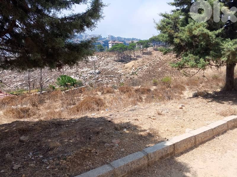 1000 Sqm | Land for sale in Souk Al Gharb 3