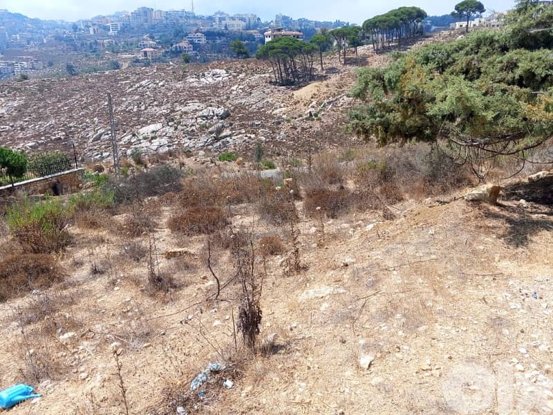 1000 Sqm | Land for sale in Souk Al Gharb 9
