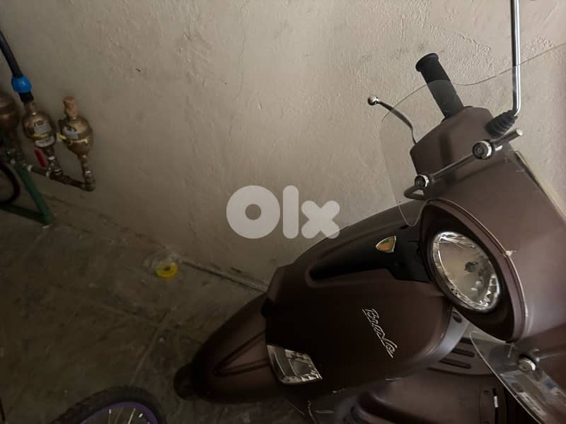 peda bravo1 2019 150cc 1