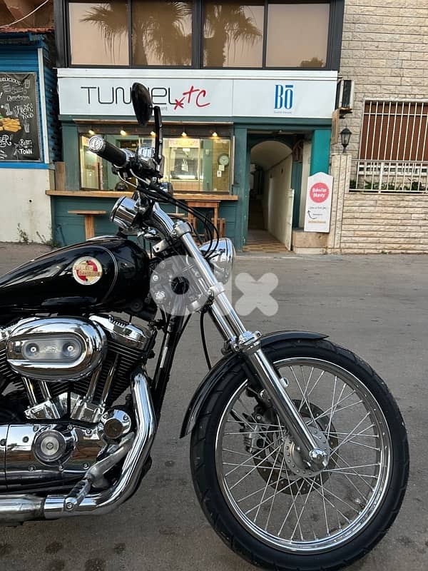 Harley Davidson 1200xl Custom sportster 6