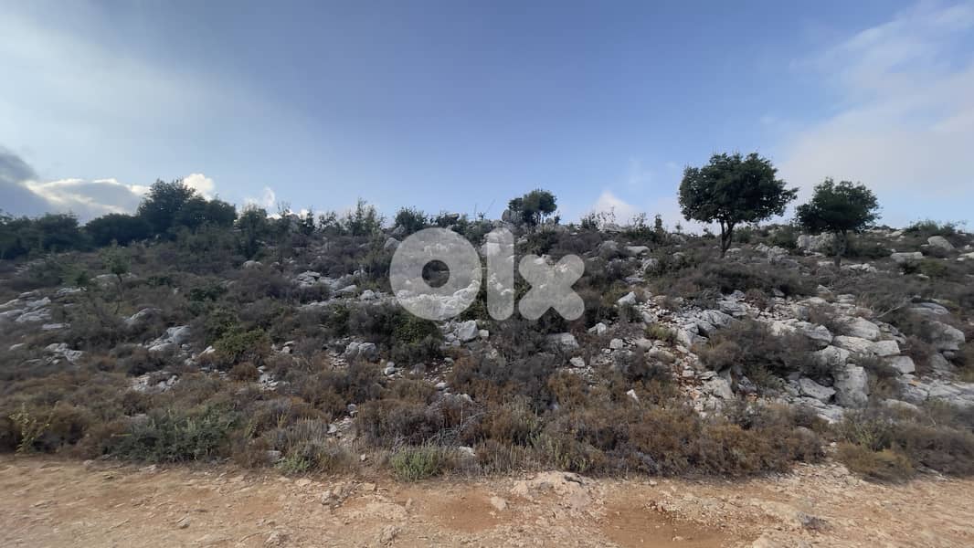RWB290CA - Land for sale in Lehfed Jbeil 3