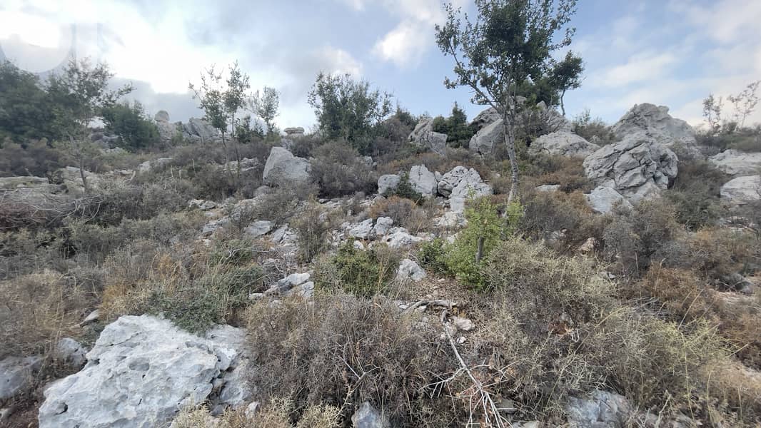 RWB290CA - Land for sale in Lehfed Jbeil 4