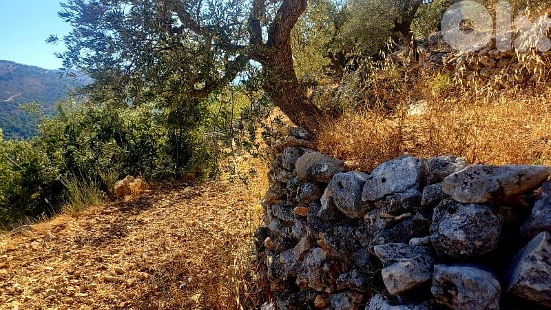 lands for sale in Hadtoun أرض للبيع في حدتون 1