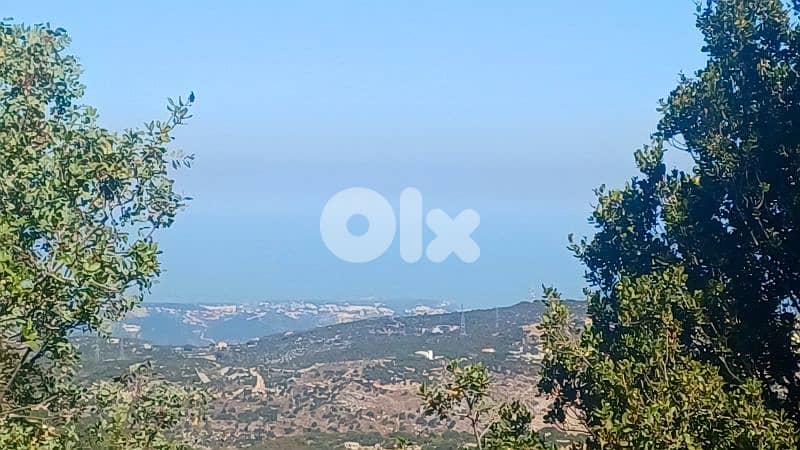 lands for sale in Hadtoun أرض للبيع في حدتون 6