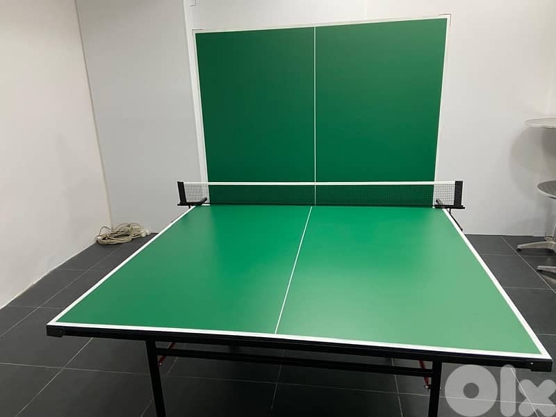 Table tennis pingpong outdoor 0
