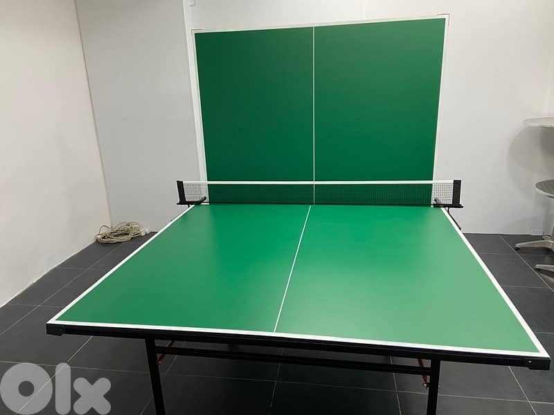 Table tennis pingpong outdoor 2