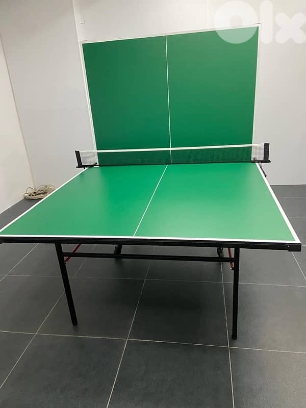 Table tennis pingpong outdoor 3