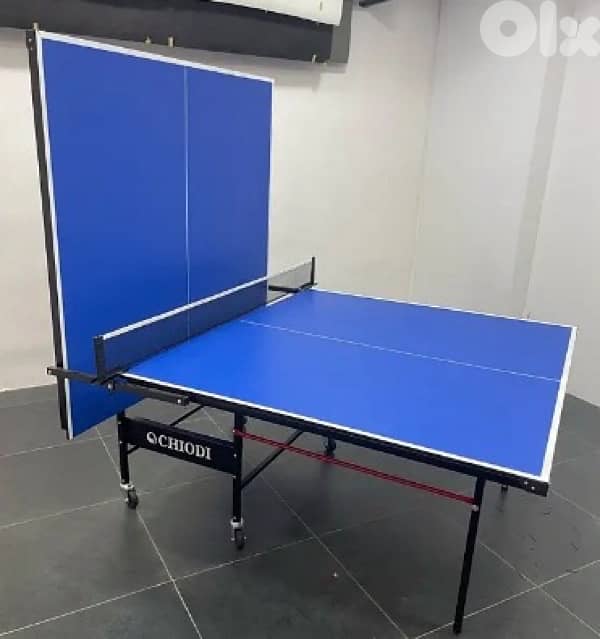 Table tennis pingpong outdoor 0