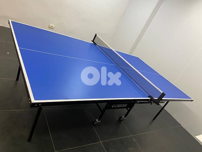 Table tennis pingpong outdoor 1