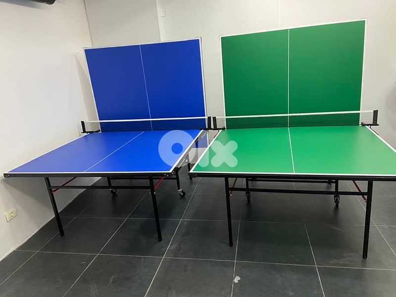 Table tennis pingpong outdoor 2