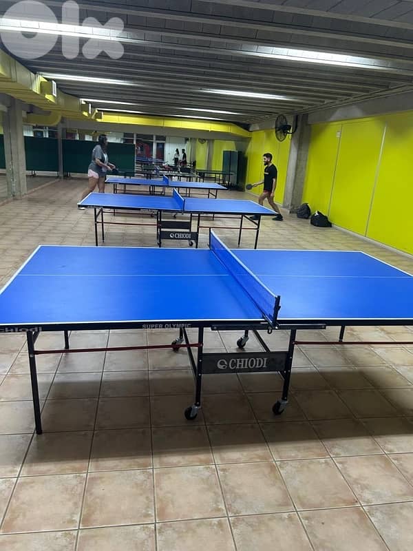 Table tennis ping pong indoor 1