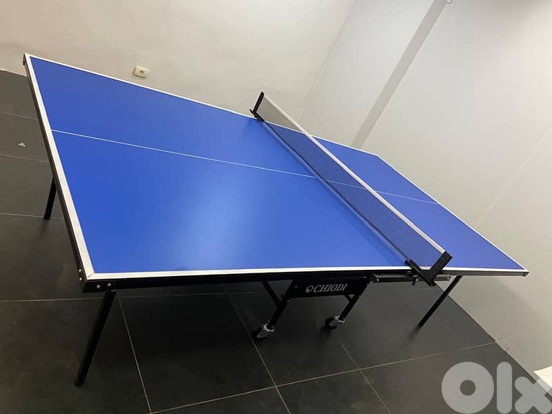 Table tennis ping pong indoor 2