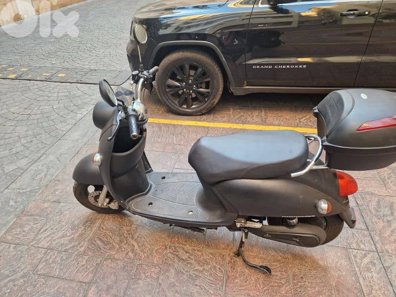 Tree  City Electric Bike 1