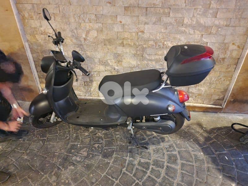 Tree  City Electric Bike 2