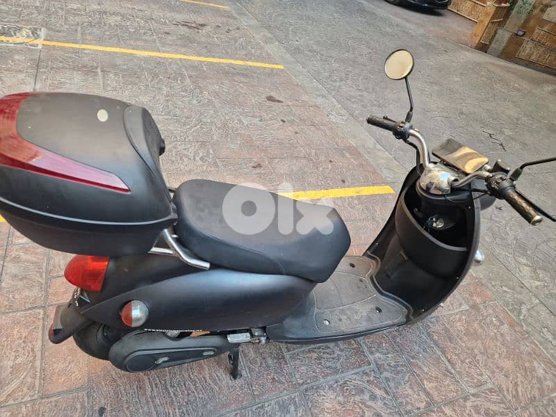 Tree  City Electric Bike 3